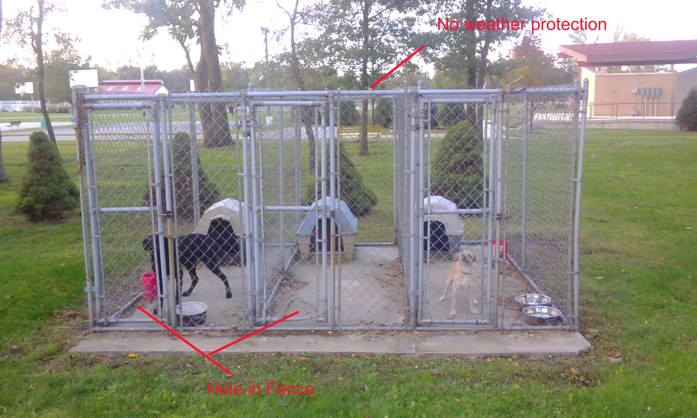 DeMotte Animal Kennels Erik Johnson Eagle Scout Project